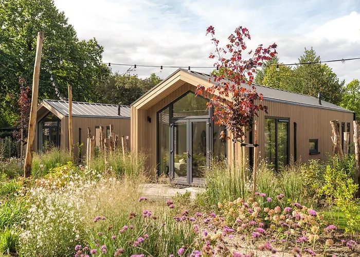 Veluwepark De Bosgraaf 假日公园 阿帕多恩