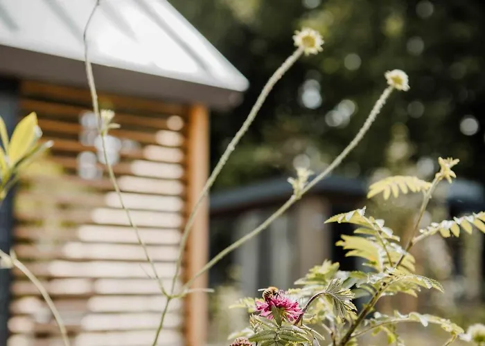 Veluwepark De Bosgraaf 假日公园